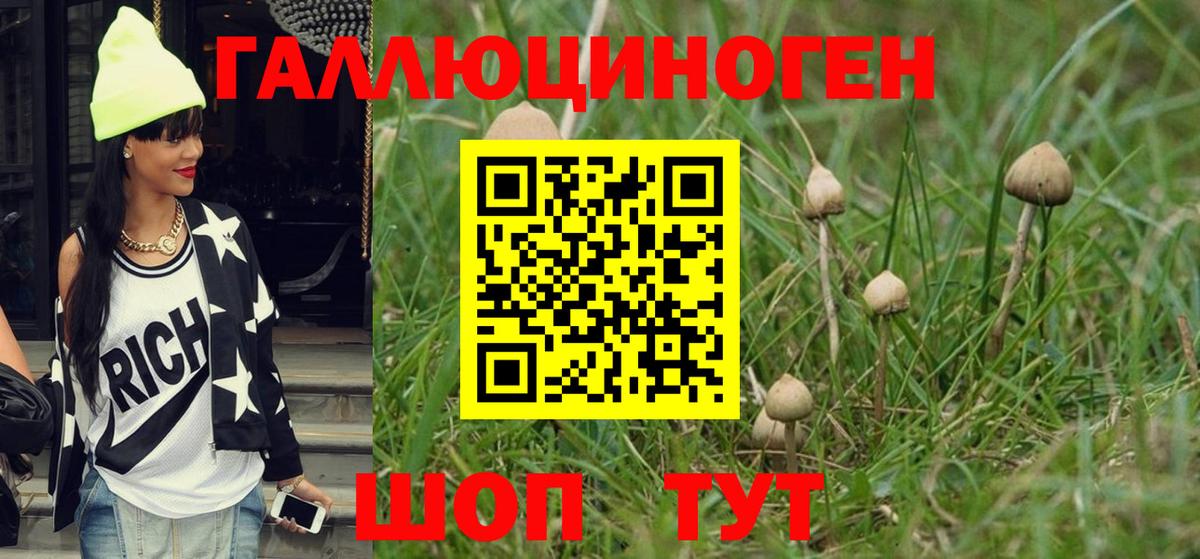 Псилоцибиновые грибы ЛСД Ахтубинск