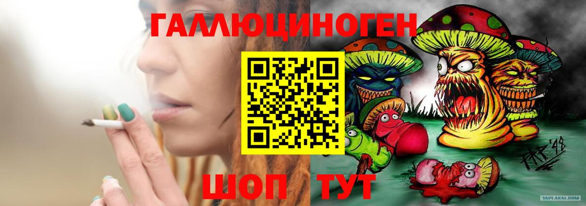 Ахтубинск  Галлюциногенные грибы Psilocybine cubensis  Вход с VPN 