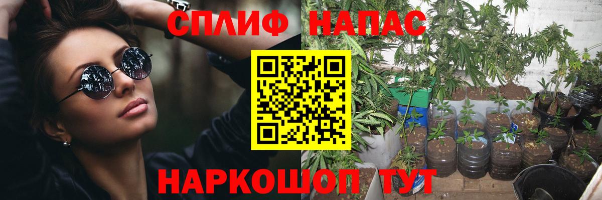 Шишки марихуана тримм  Вход с VPN  Бошки Шишки план  Ахтубинск  Марихуана индика 