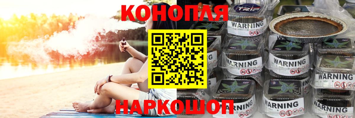 Бошки Шишки планчик Ахтубинск